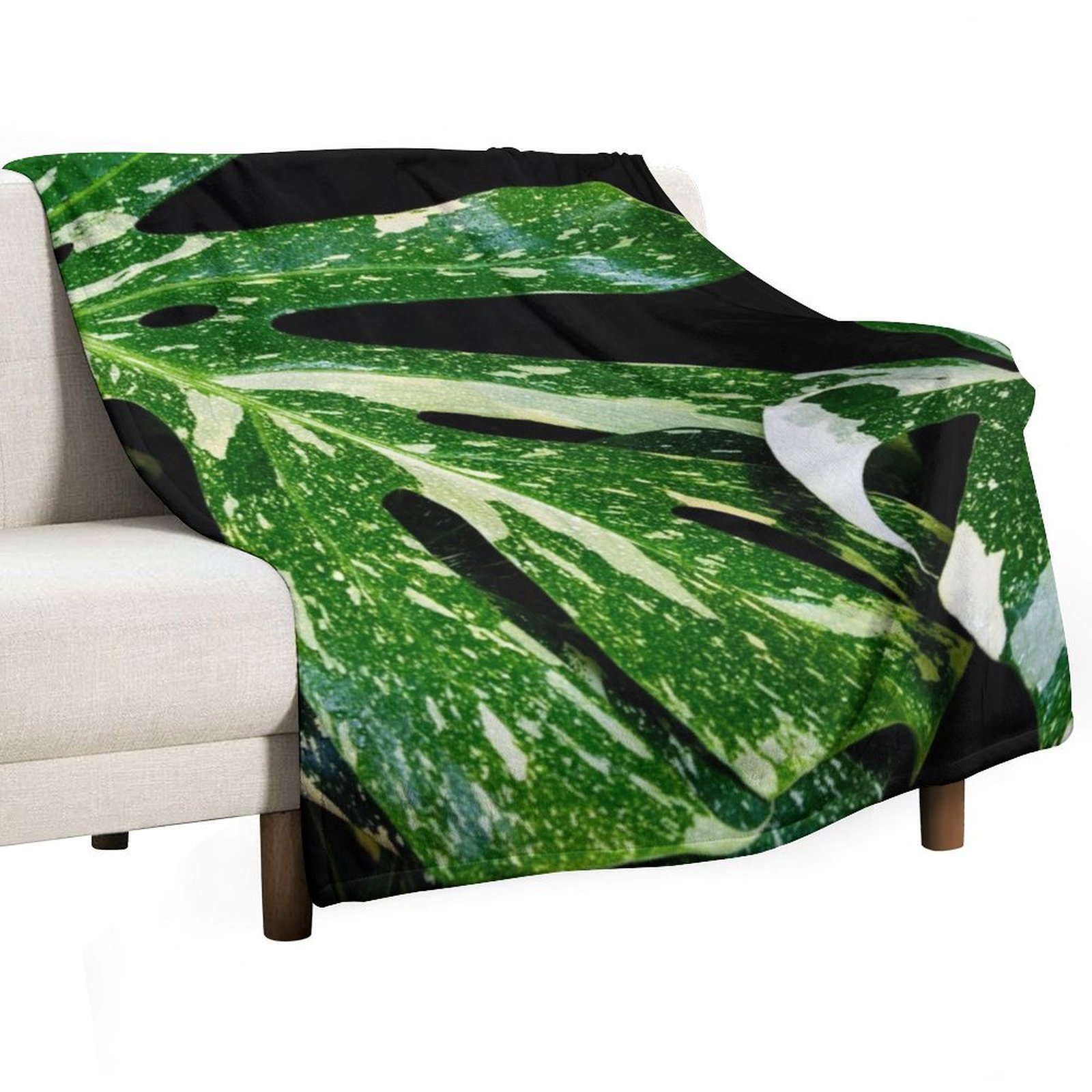 Monstera Thai Constellation Th - Monstera Thai Constellation recensie en prijs