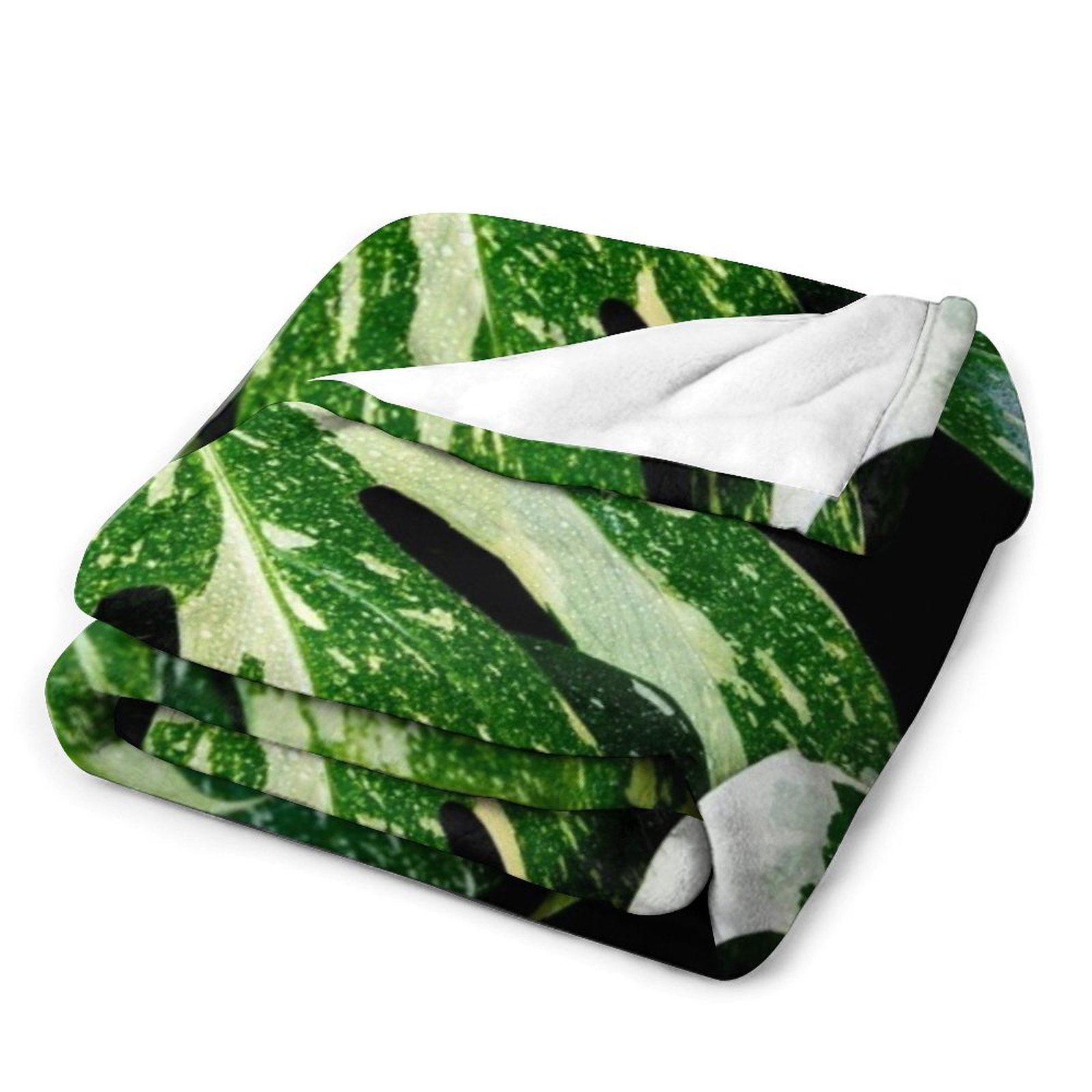 Monstera Thai Constellation Th - Monstera Thai Constellation recensie en prijs