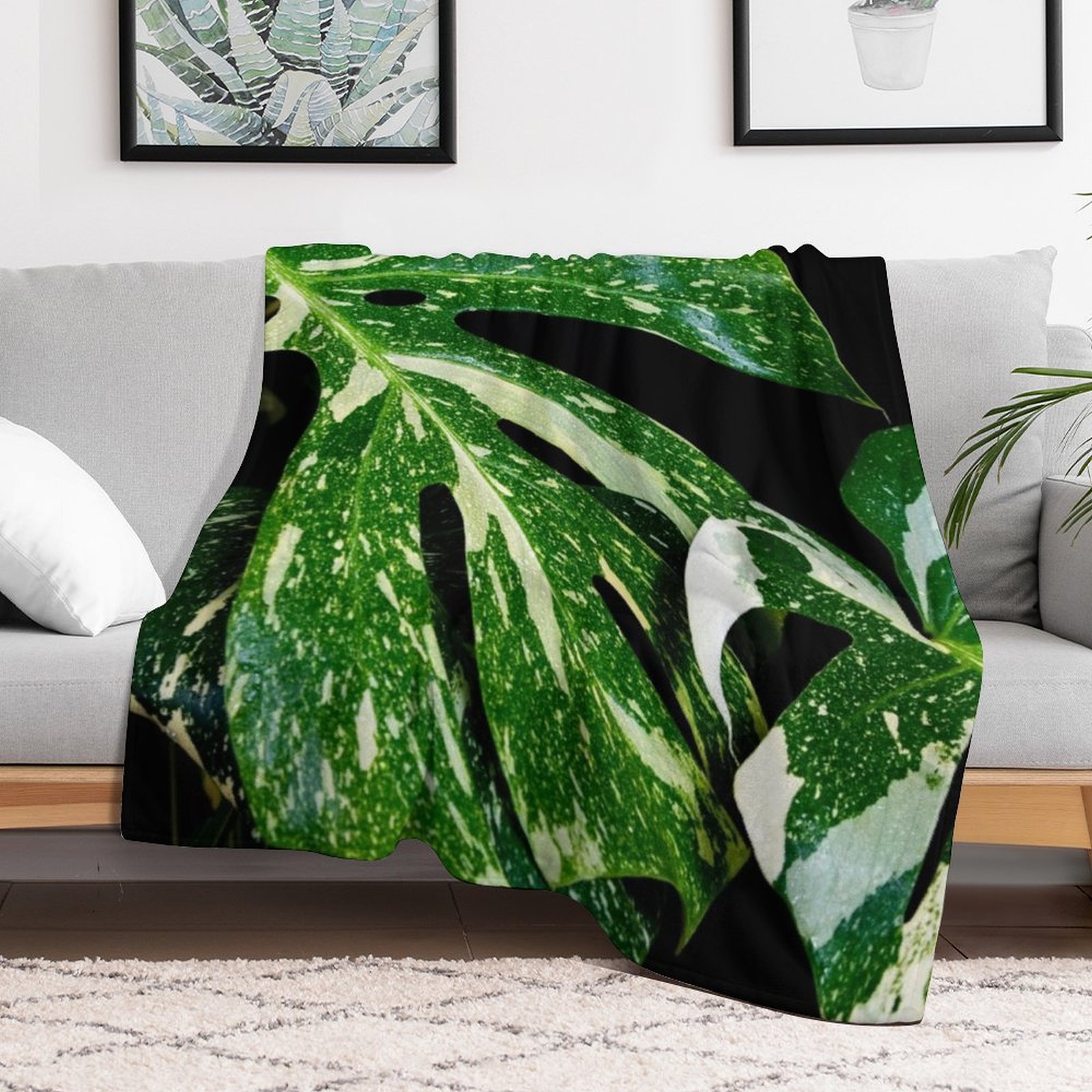 Monstera Thai Constellation Th - Monstera Thai Constellation recensie en prijs