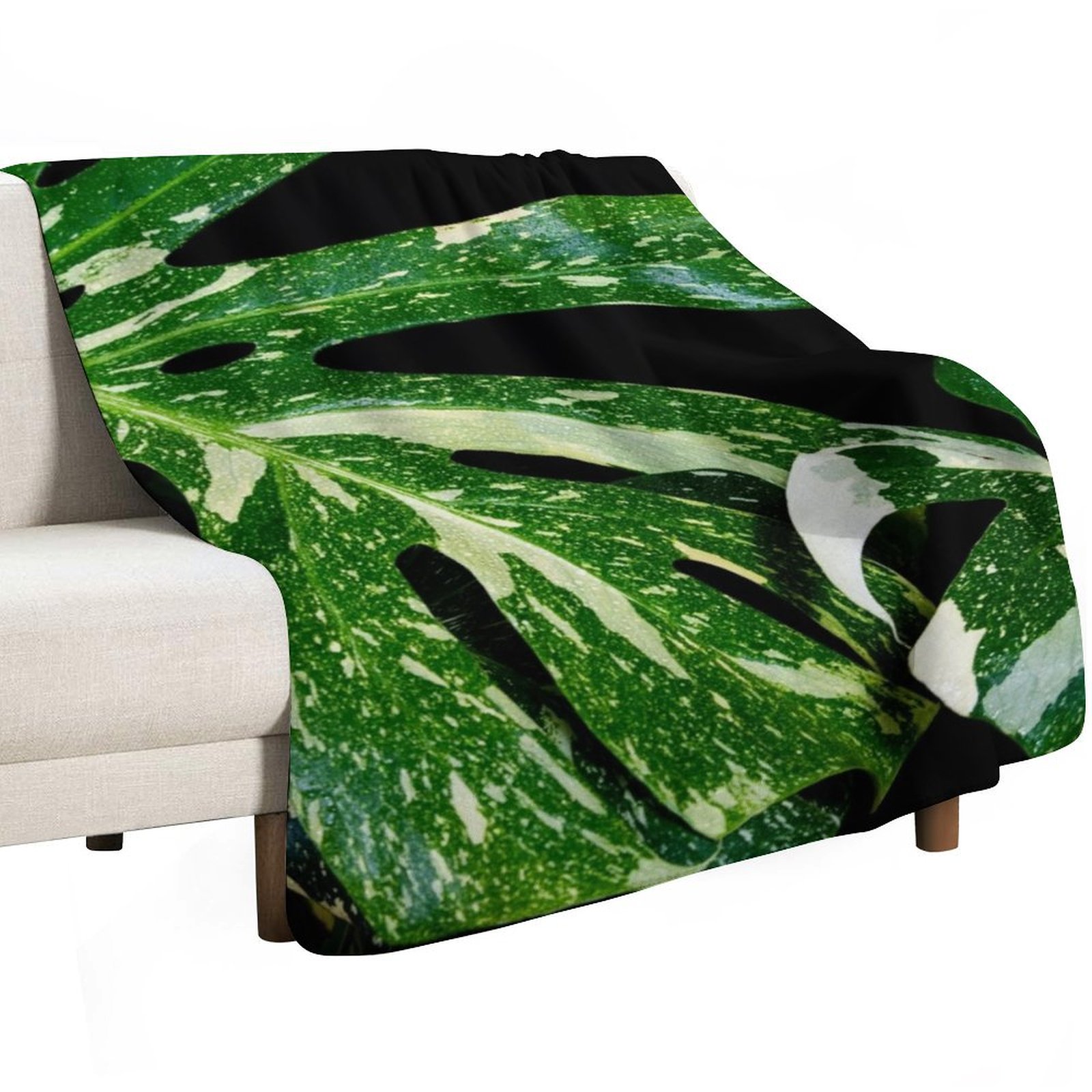 Monstera Thai Constellation Th - Monstera Thai Constellation recensie en prijs