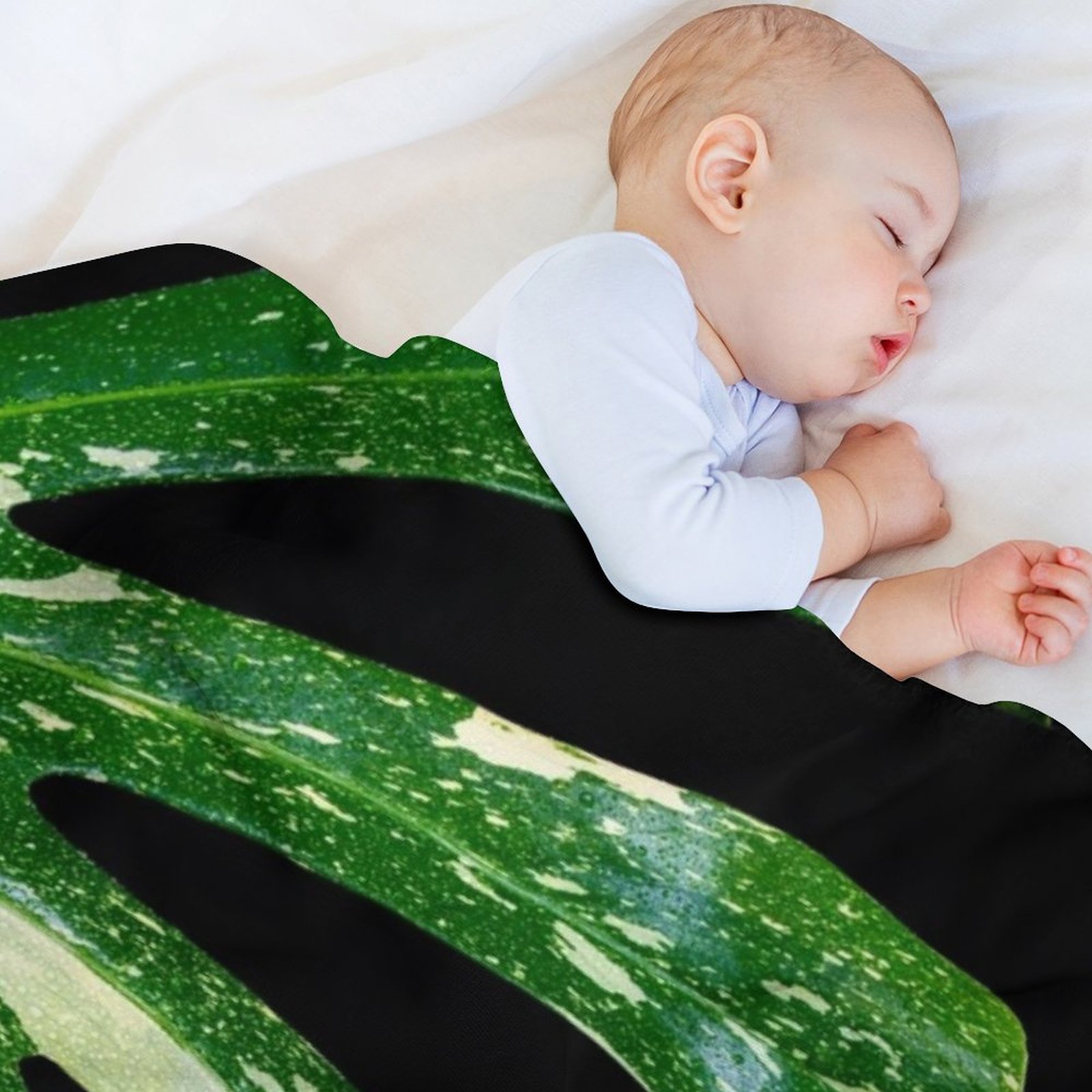 Monstera Thai Constellation Th - Monstera Thai Constellation recensie en prijs
